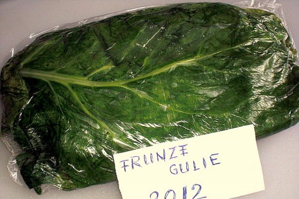 Frunze de Gulioare Conservate pentru Iarna