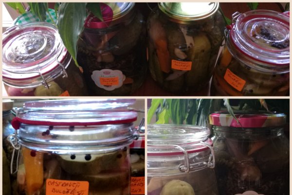 Castraveţi bulgăreşti reţetă