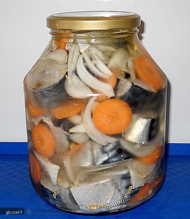 Macrou Marinat la Rece